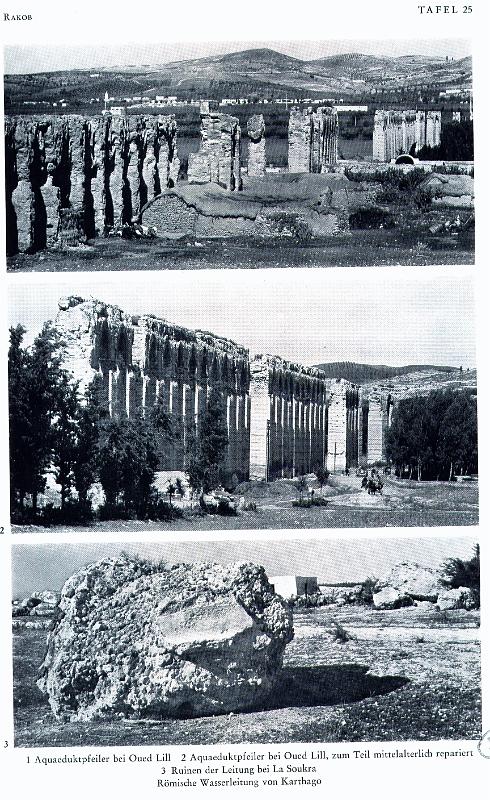 Carthage aq 113.jpg